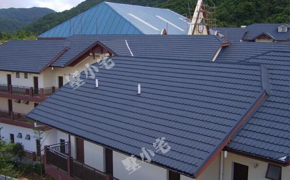 农村房子屋顶设计实拍图